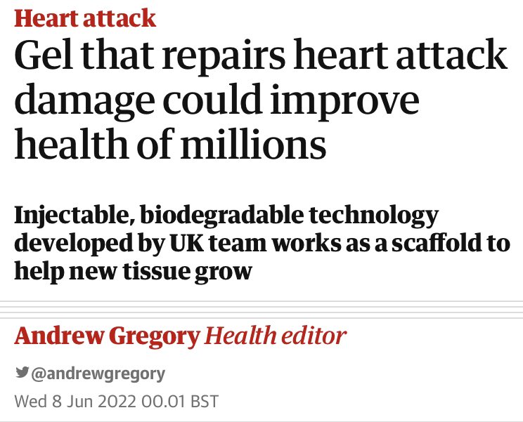 Aline Miller tweet media