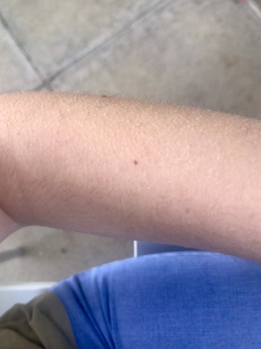 gemagamundi's tweet photo. Estoy en la biblio y ha salido una chica chillando de ilusión porque ha sacado buena nota en una asignatura de la PAU. Y se me ha puesto la carne de gallina porque lo recuerdo como uno de los momentos más gratificantes de mi vida. Además justo hoy que he acabado el TFG… 🥹 https://t.co/NqFgkmoHgm