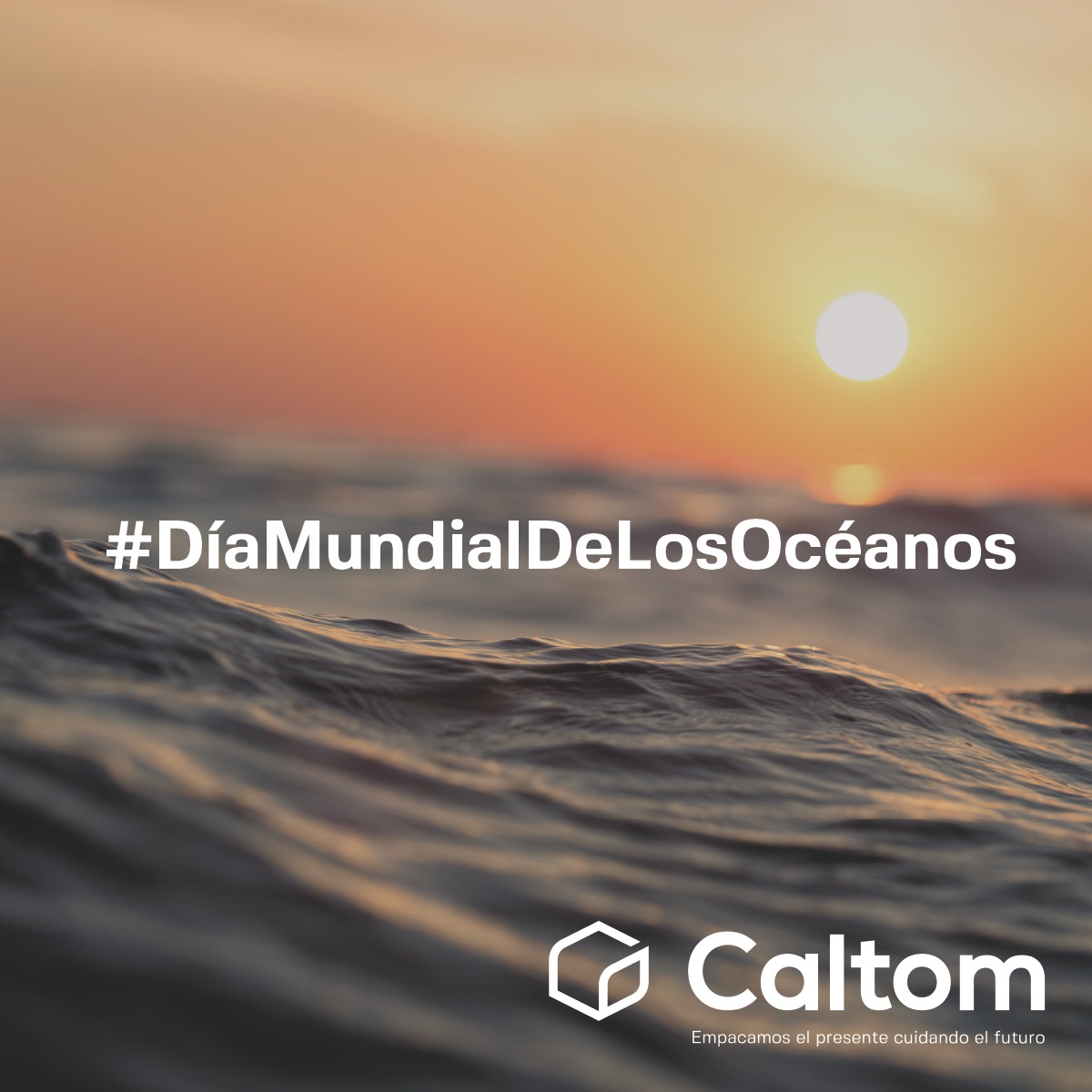 CaltomOfficial's tweet photo. 🌊 Los #oceanos son parte de nuestro planeta #diadelosoceanos https://t.co/ULPN0VHRdY