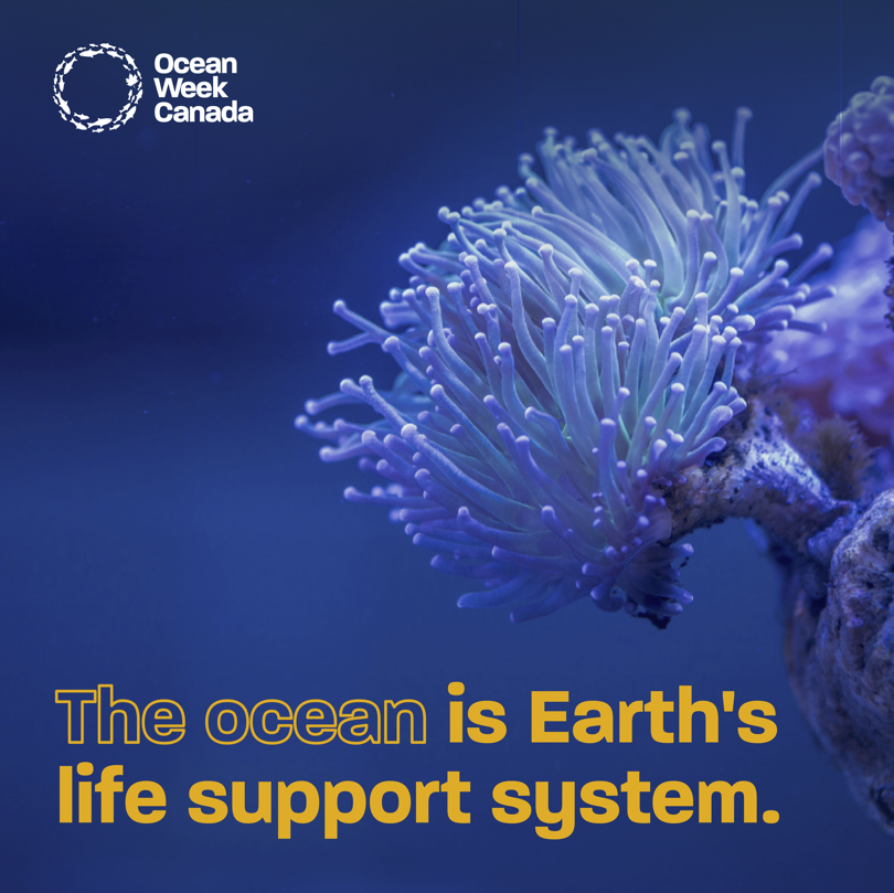 OceanSchoolNow's tweet image. The ocean is Earth's life support system, providing the air we breathe, regulating our climate, and providing food around the world 🌊🌍 This #WorldOceanWeek, let's show the ocean how thankful we are for everything it gives us by doing everything we can to preserve it.