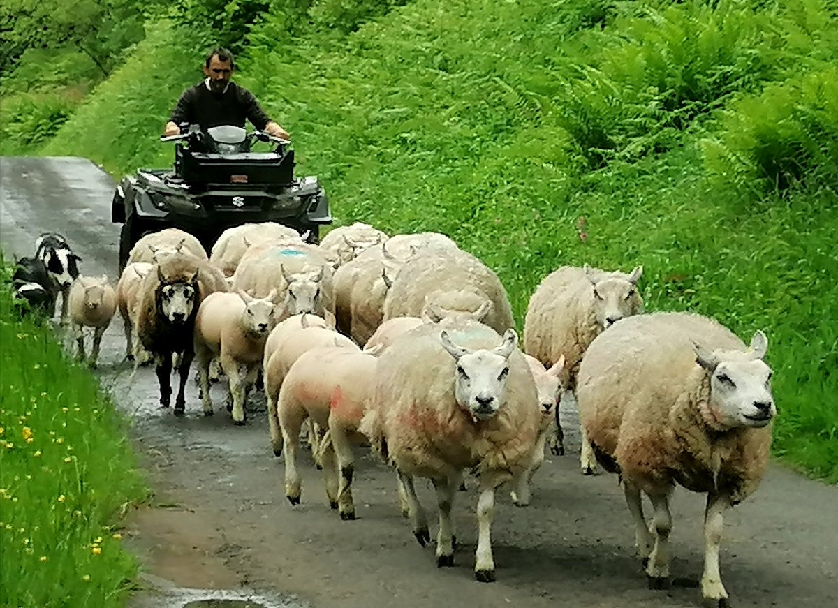 Back from holidays to the same old traffic jams