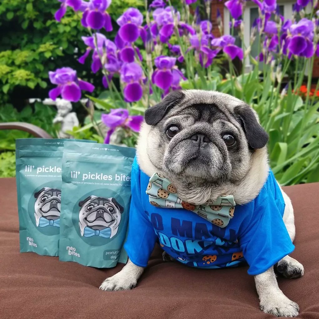 #ad I'm so excited to be partnered with <a href="/eatneobites/">@eatneobites</a> on my Lil Pickles Bites dog treats!🍪Order yours at:
eatneobites.com/pages/pickles-…