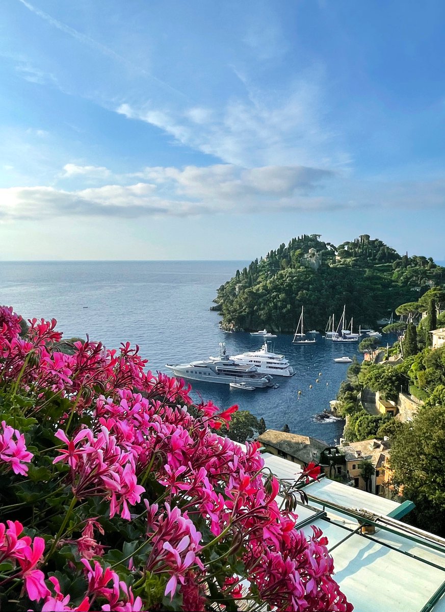 Utterly Splendido - this morning's view from our suite at Belmond Hotel Splendido in Portofino. Every. time more splendid than before: luxuryexplorer.com/Italy/Liguria/…
#Portofino #Liguria #LuxuryTravel