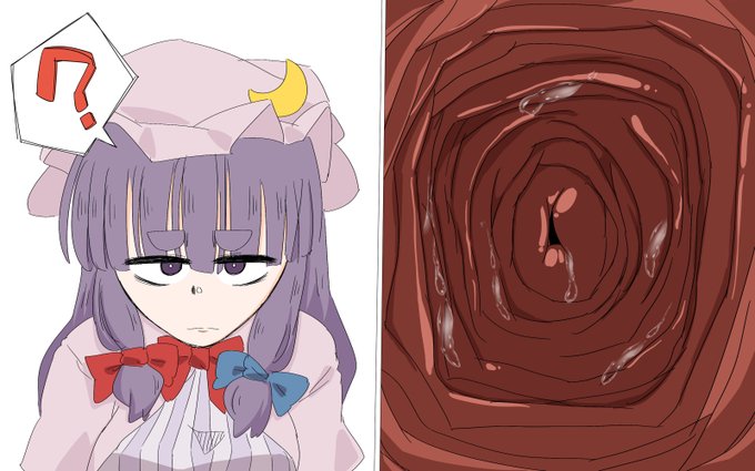 ぱちゅりーのひだ!
#6月9日はパチュリーの日 