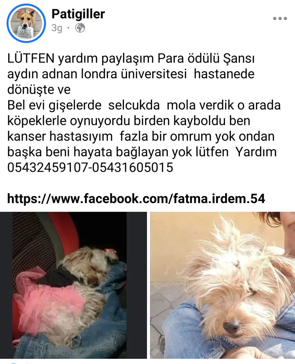 Belki gören olur. Son üç satır yüreğimi yaktı