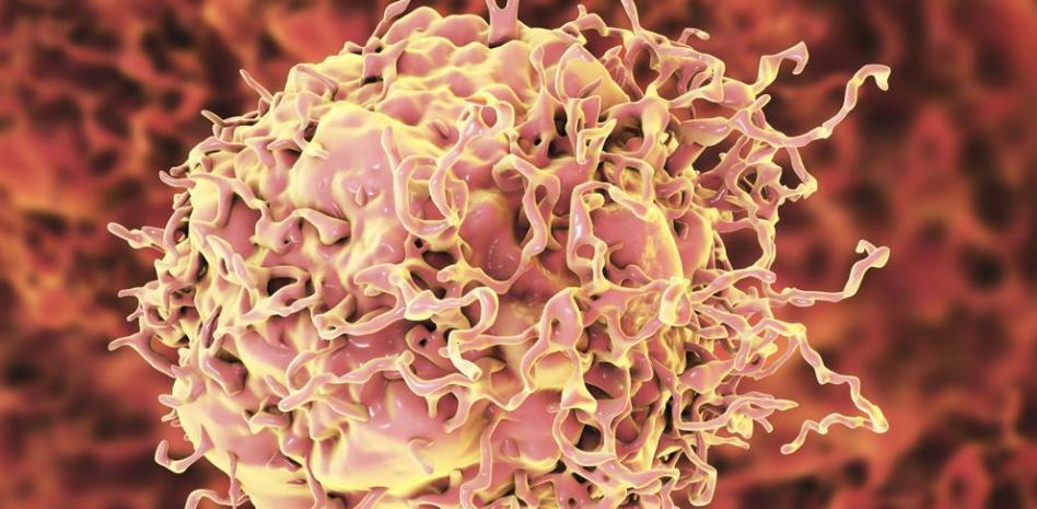 🔴#ÚLTIMAHORA Dostarlimab, el fármaco experimental que elimina el cáncer de colon en solo seis meses. 

Solo 18 personas se sometieron al tratamiento del fármaco. Pero la enfermedad desapareció en todos los pacientes y fue indetectable. 

lavanguardia.com/ciencia/cienci…
