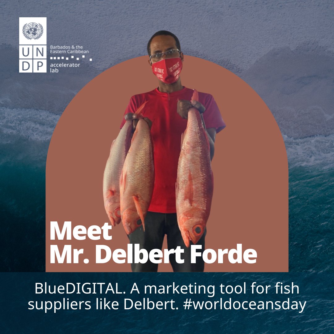 UNDPAccLabs's tweet photo. In Barbados, Delbert Forde, a fish supplier, takes a keen interest in the species of fish he sells. He works with #BlueDIGITAL and @UNDPBarbados Accelerator Lab to bring his catch to market
BlueDIGITAL officially launches on #WorldOceanDay.
Learn more👉https://t.co/SSz8QaOmBh https://t.co/xOLYAM8Je2
