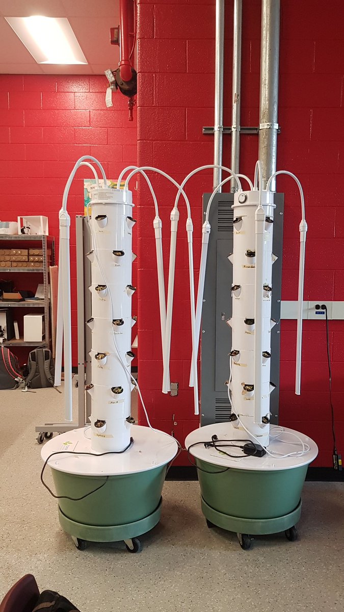 STEAM@BCSS tweet media