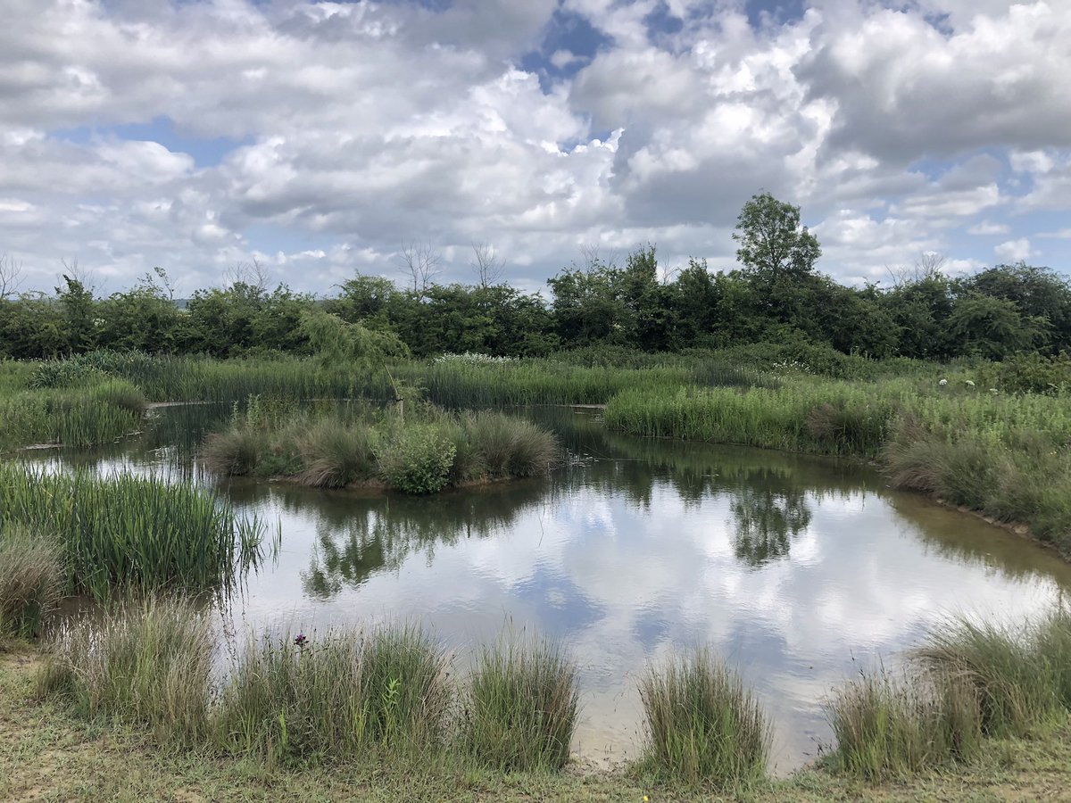 Dr Charlotte Chivers tweet media