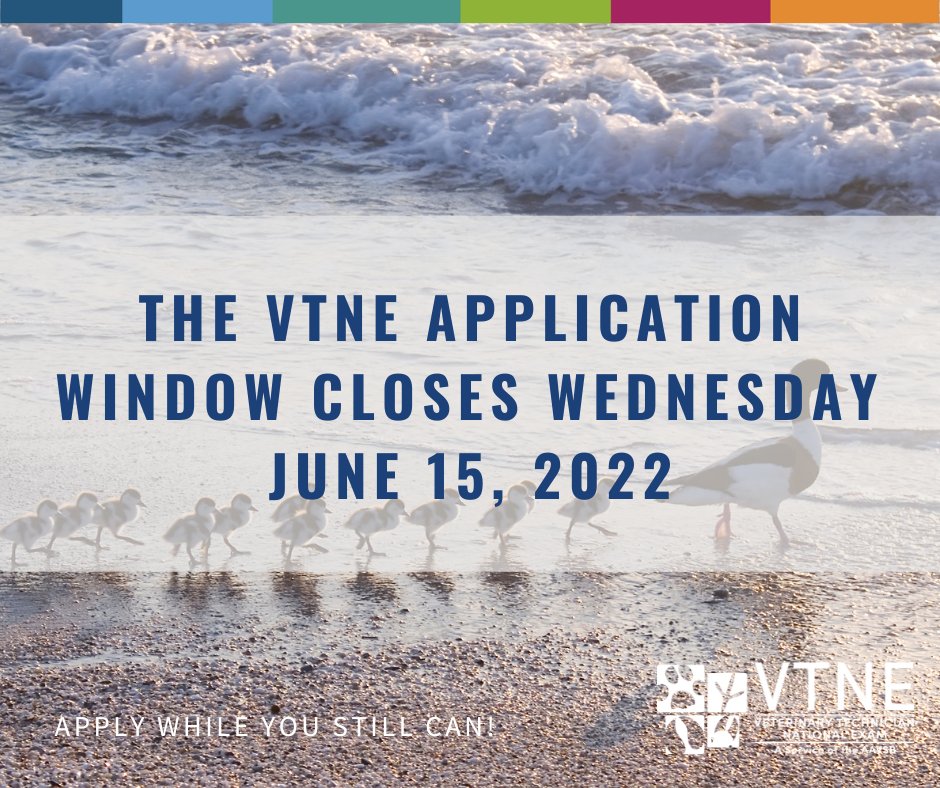 AAVSB's tweet photo. The application window for the VTNE Exam will close next week on Wednesday, June 15. Be ready for the July 15 - August 15 exam window by studying with official AAVSB study materials. Official VTNE Practice Tests and other study materials are available at: https://t.co/FWTUSNEMxZ https://t.co/cd7jqVsDei