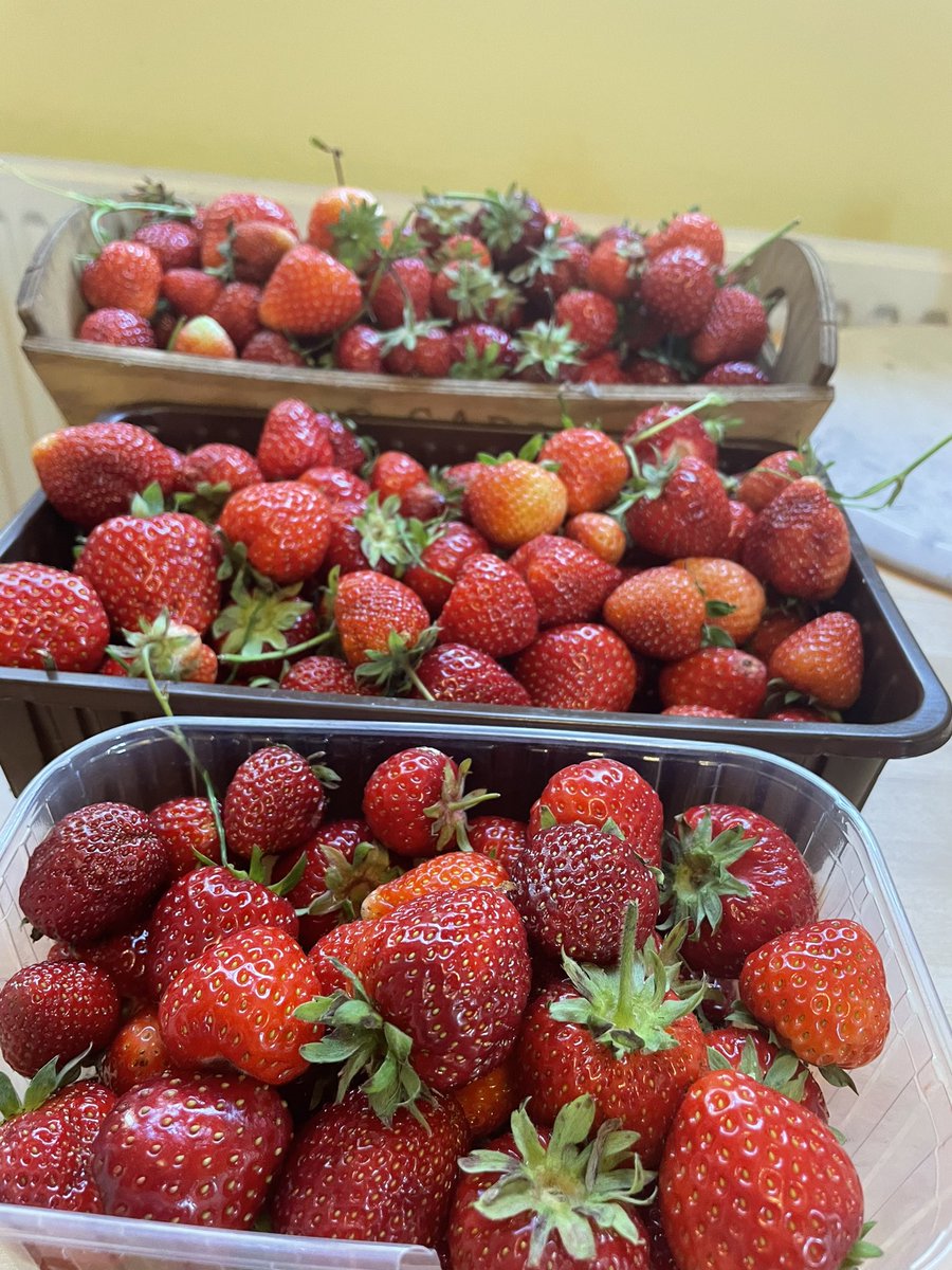 katetnorth's tweet photo. Looks like we’re making jam #growyourown https://t.co/yd6yhhLG2e