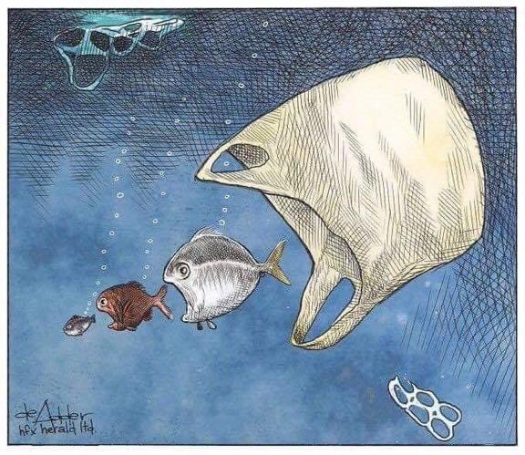 #BraveWrite #vss365 & All…

turns out that plastic
bag you had is the greatest
oceans’ predator

#WorldOceansDay #WorldOceanDay 
#haiku #ClimateAction #NoPlasticChallenge 
#BeTheChange 🎨deAdder