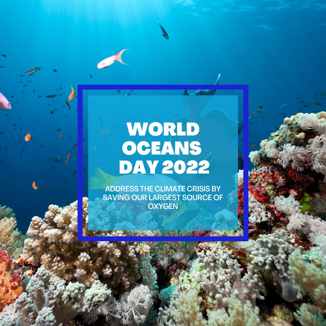 JenessaSquires's tweet image. Happy #WorldOceansDay - Let's all get do our part in keeping our seas clean!
 50% of earth's oxygen comes from the ocean, while 25% of CO2 emissions are absorbed by it.
 Reduce your waste, be mindful and consider donating to an ocean conservation initiative today! 
#SaveOurOcean
