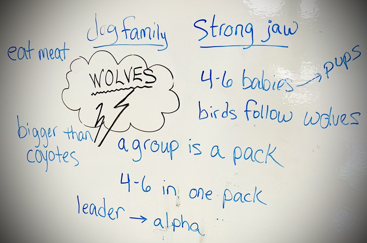 Some great brainstorms happening today in Ms. Hendrix’s classroom! 💙#summerschool <a href="/FISD_ECS/">FISD Early Childhood School</a> <a href="/McSpeddenES/">McSpeddenES</a> <a href="/friscoisd/">Frisco ISD</a> <a href="/ci_elem/">Frisco ISD Elementary Teaching and Learning</a>