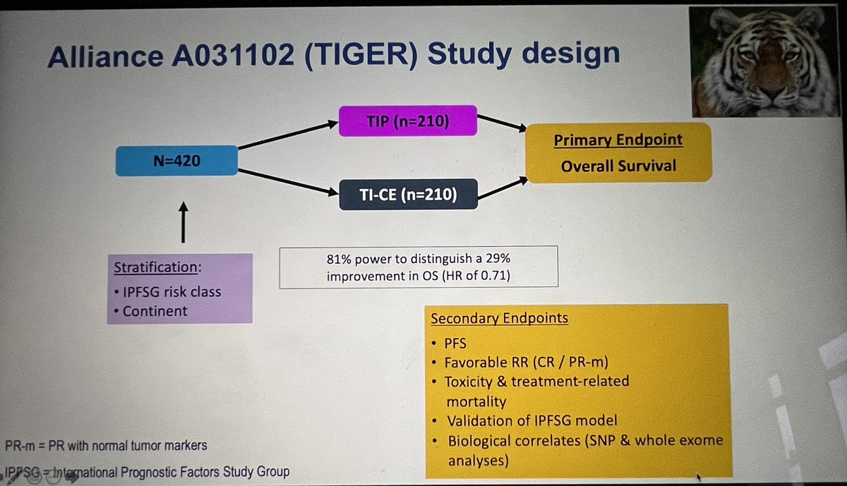 To investigators of the TIGER study: Only 25 patients missing to complete enrolment. Thanks for all the efforts until now and please help to finish the study ideally this year! @tompowles1 @DrDarrenFeldman @EORTC @ALLIANCE_org @Uromigos @ANZUPtrials @OncoAlert