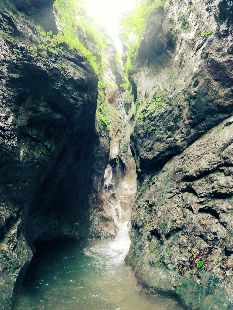 TAKAPEYY's tweet photo. 沢登りの季節がやってきました。
体力、読図、ルートファインディング、登攀力
登山の要素が全て詰まった最高の遊び。
称名川ザクロ谷を目標に今年も頑張ります💪🔥
 #登山  #沢登り  #登山好き
ちなみに、英語だと沢登りは『シャワークライミング』もしくは『sawanobori』
日本発祥です！ https://t.co/cfVEf9aWu3