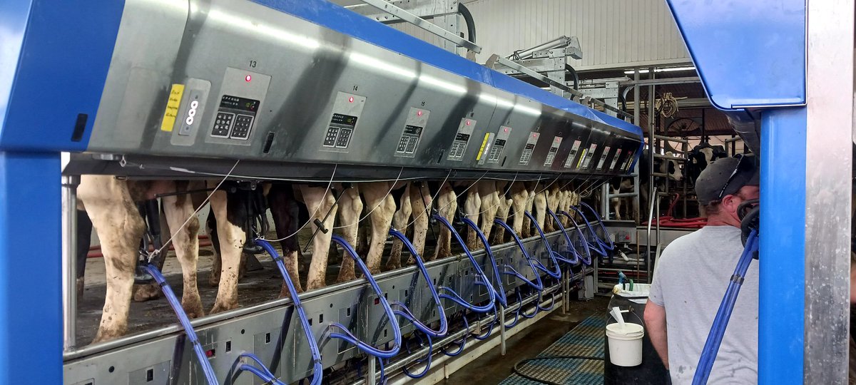 brandonmac1994's tweet photo. @NorwellDairy @DeLavalCanada Going good! https://t.co/kR5m5yysmc