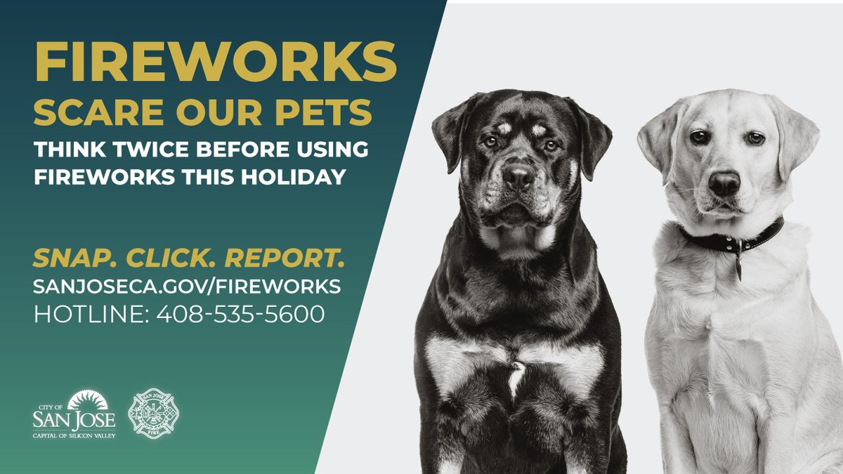 SanJosePD's tweet photo. Fireworks cause unnecessary stress and fear in our pets. It’s not worth it! Report illegal firework activity– snap a picture and file a report at https://t.co/Drnc9axZAn or 408-535-5600. https://t.co/aMzUAfGikW