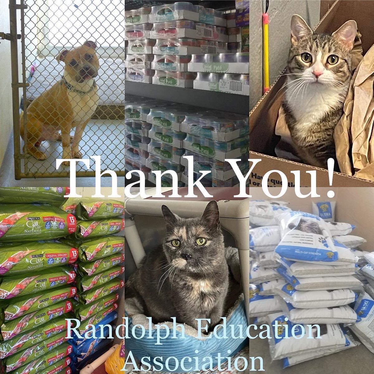 REA Pride donates to Randolph Animal Shelter