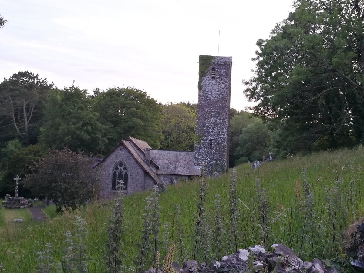 Phoenix_sandy's tweet photo. Assisting Lesser Horseshoe roost count at Pembrokeshire church was atmospheric on so many levels & it's contributing to conservation. Beautifully capped off with young Tawny Owl screeching for food @_BCT_ @godsacre #batmagic @Mammal_Society https://t.co/TgpSzD6i9t