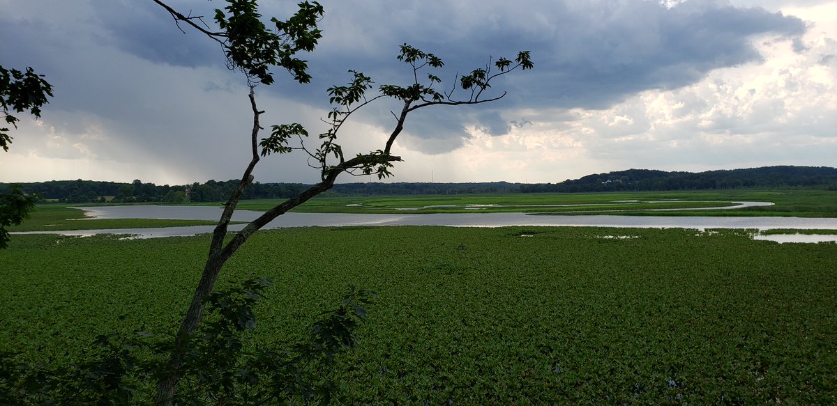 Friends of Jug Bay tweet media