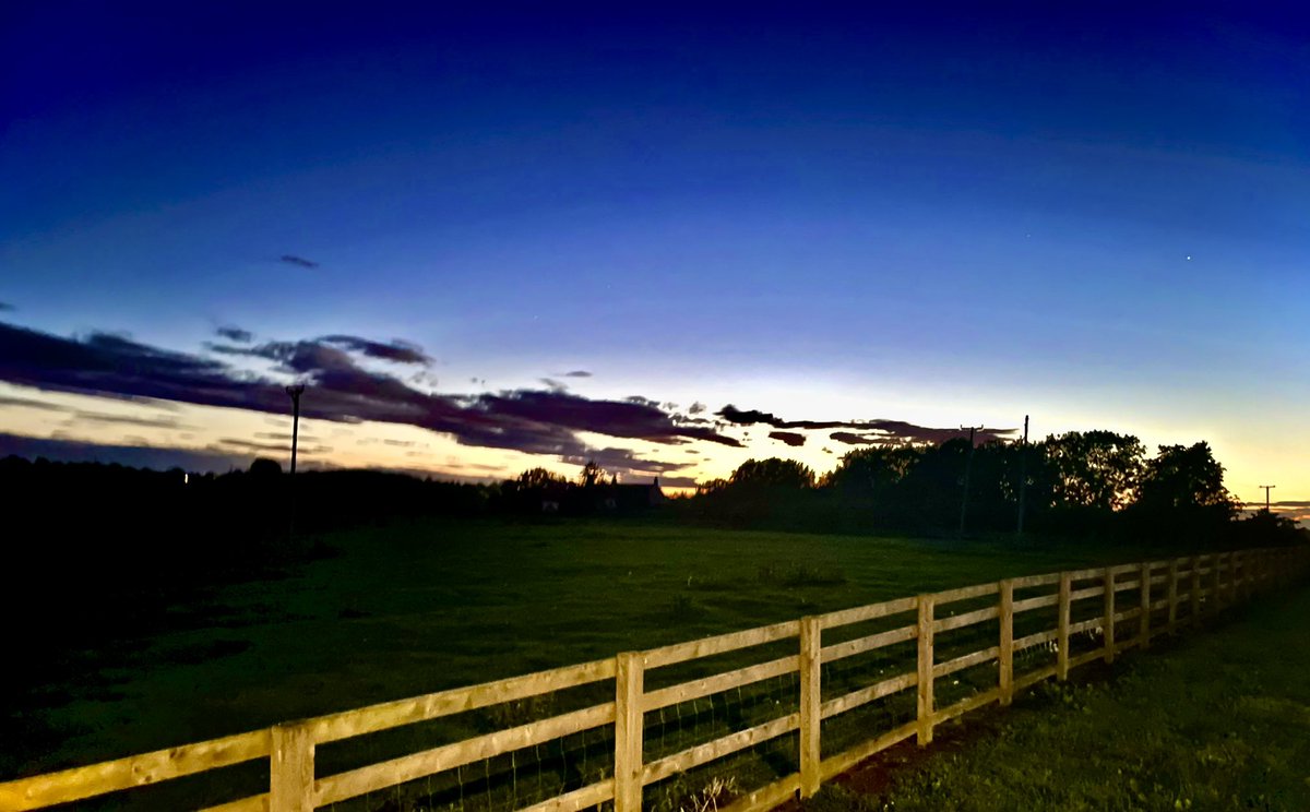 David Knowles Photography tweet media