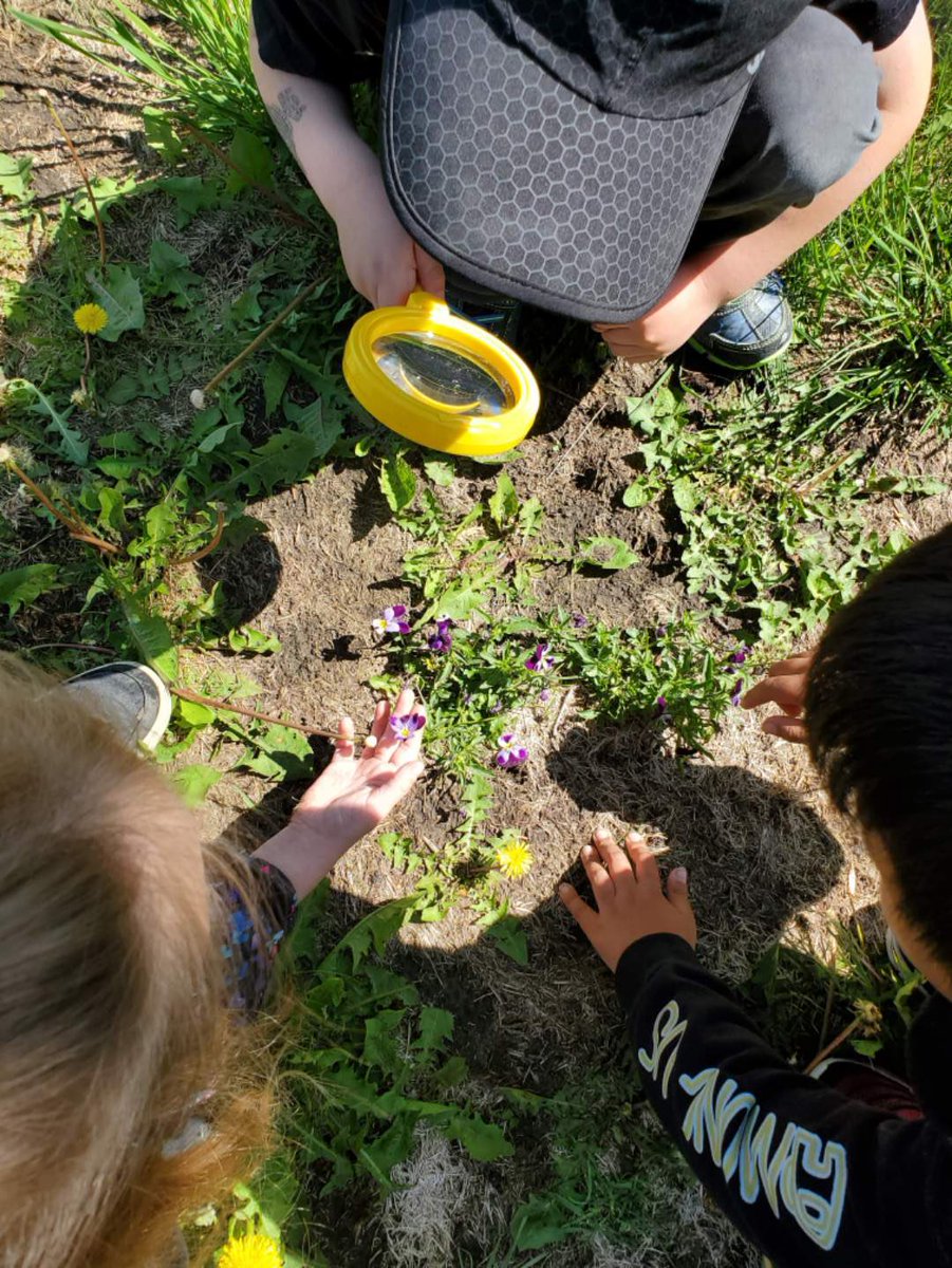 Just wanted to share some spring time fun and adventures down in kindergarten! My kiddos and I have been learning so much! <a href="/SenBuchanan/">Senator Buchanan</a>