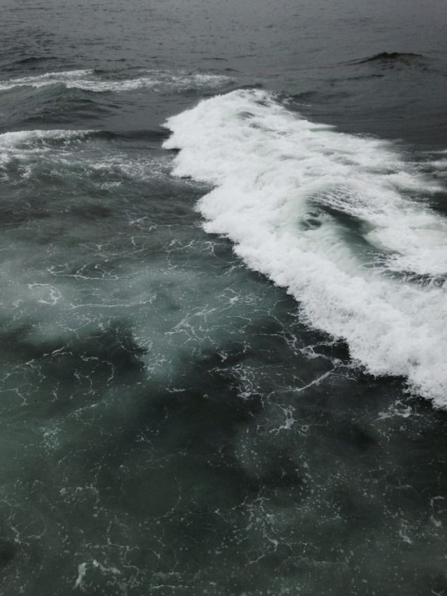 ততত༺ 》open sea《 ༻ততত
 
  – to be at sea and in /
someone's heart at once /
to those who chose the sea
         
*ೃ࿐ MV OC — RP

*ೃ࿐ Serious + Crack RP

*ೃ࿐ She/Her

*ೃ࿐  #OpenRP #OCRP #MVRP 

                       ♡ + ↺
                 ᴹᵒʳᵉ ᴵⁿᶠᵒ ᵇᵉˡᵒʷ