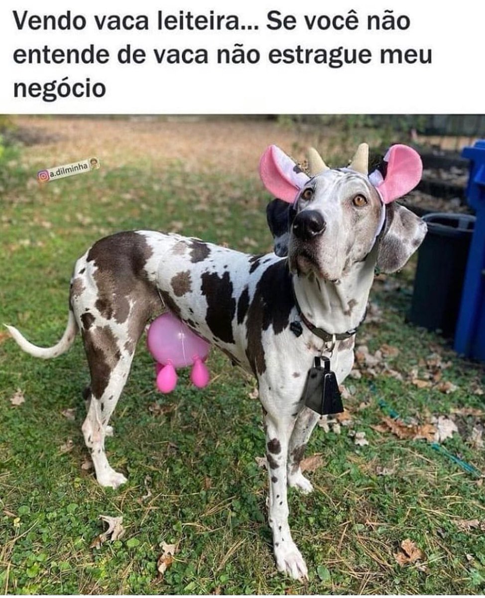 ❥┄┅❥••♥️•••❥┅┄❥
𝗨𝗦𝗘 𝗔𝗦 𝗧𝗔𝗚𝗦 👇🏿
#QuintaResgateSDV
#QuintaEsquadraoSDV 
❥┄┅❥••♥️•••❥┅┄❥ 

🙄😏🥴😂😂😂