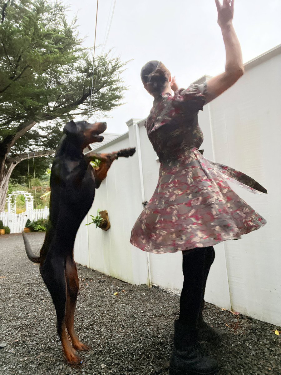 SallyannMoffat's tweet photo. Dancing with dogs! Deus really gave it his all this morning, Diva is there but camera shy. #DivaandDeus #DancingWithDogs ๐๐ฝ ๐ https://t.co/jXBA1M3NSx