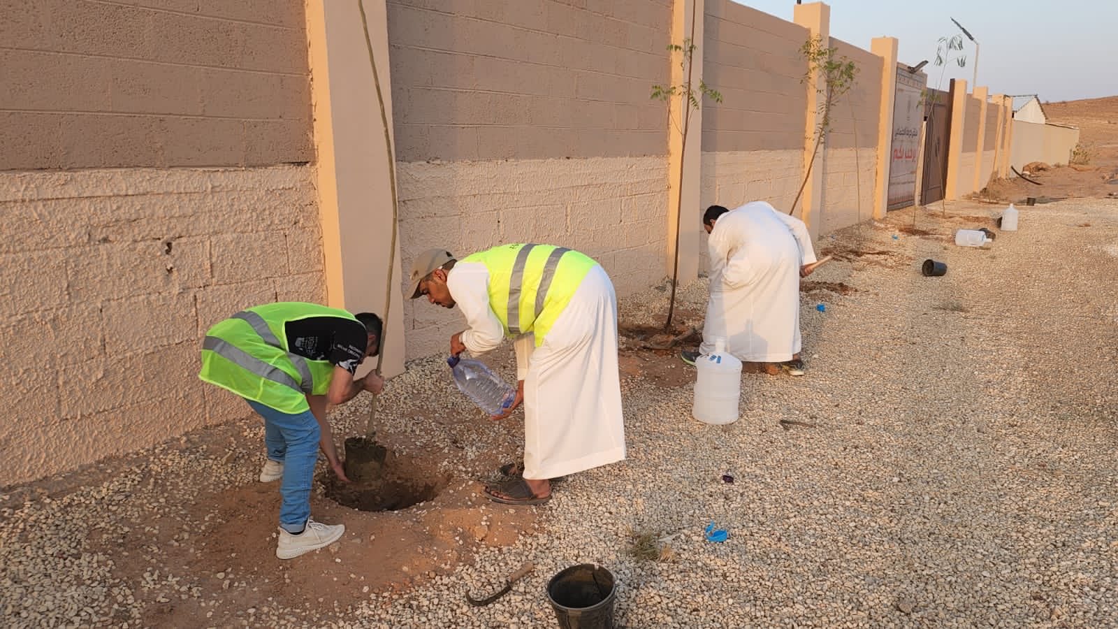 الصورة