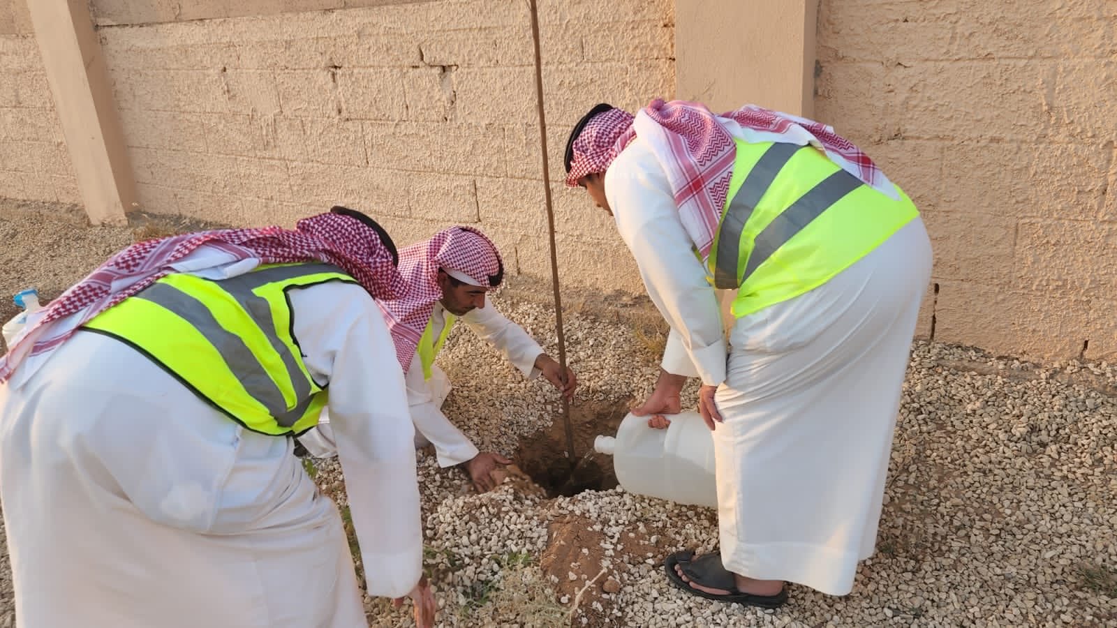 الصورة