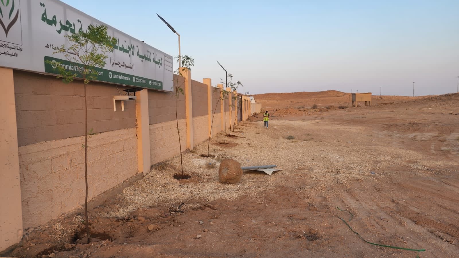 الصورة