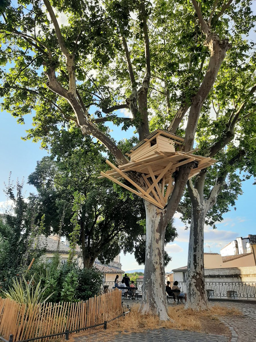 PiccolaAla's tweet photo. #canourguemontpellier
Anybody knows who built these in place de la Canourgue in #Montpellier? https://t.co/x2Zorsc1JK