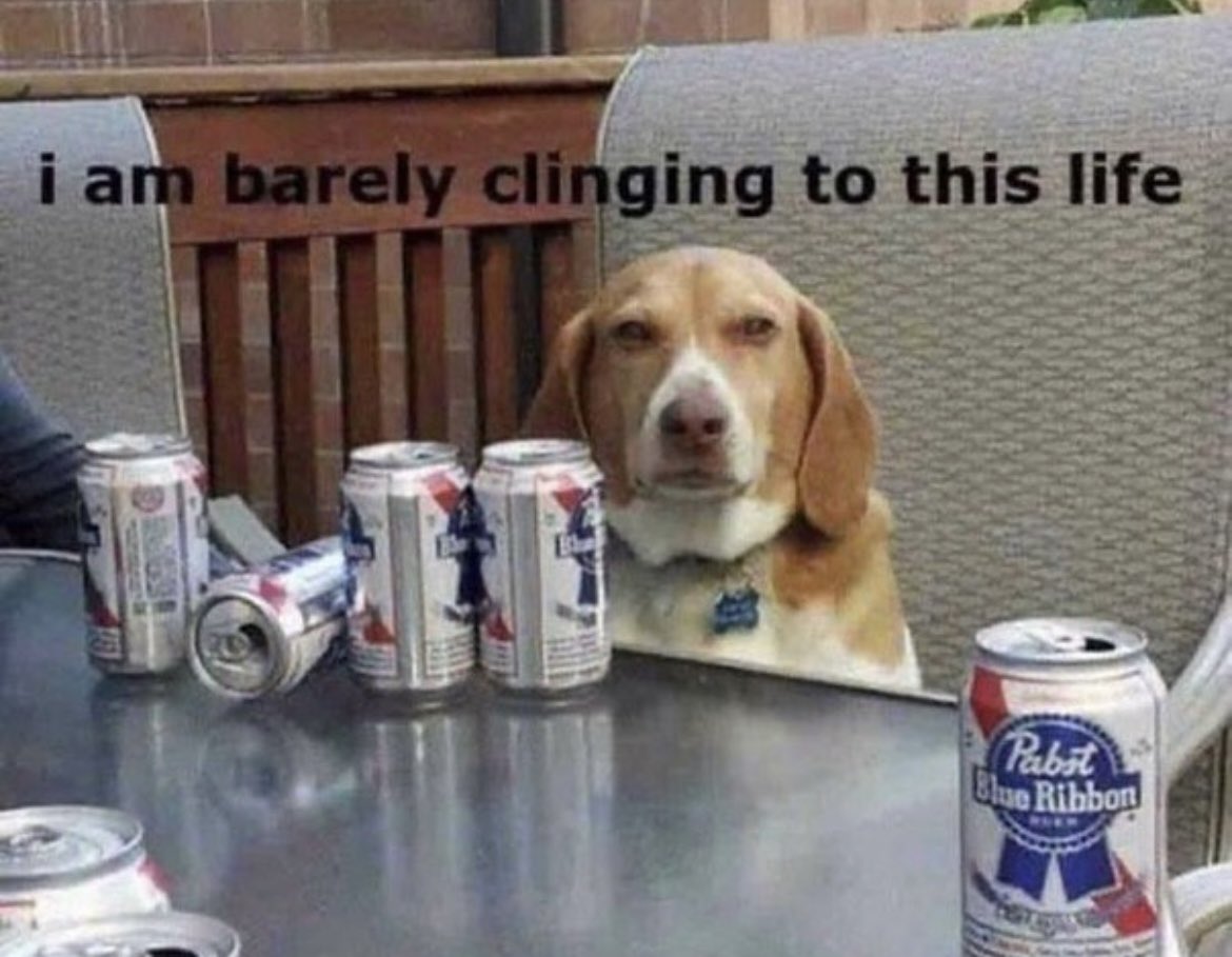 tristehomo's tweet image. 