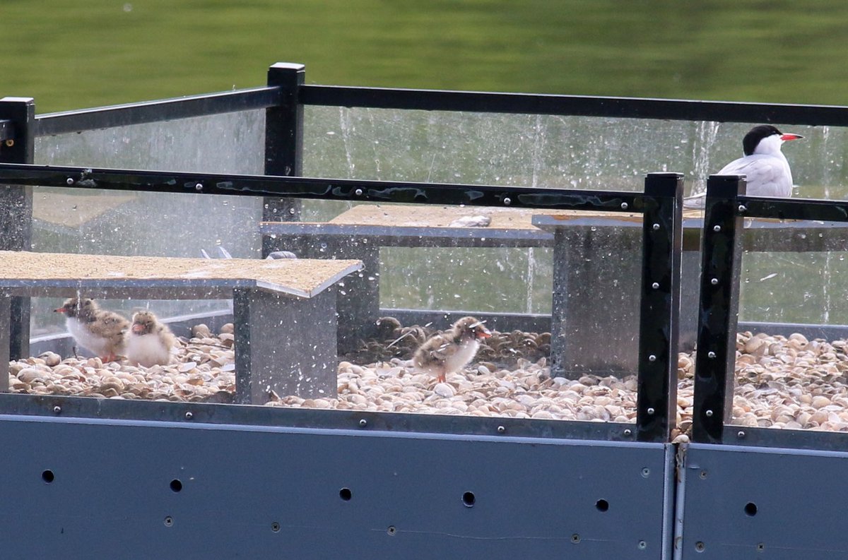 Jon Heath tweet media