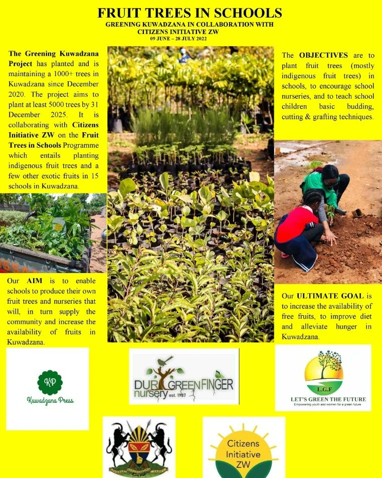 Green the Ghetto tweet media