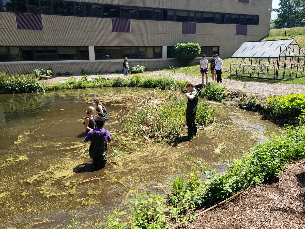 Best way to recharge after bio mcas? Take a dip in the pond!