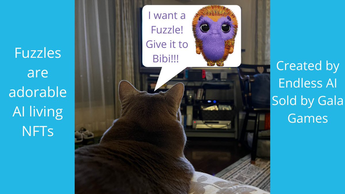 PattyAlexx's tweet photo. @sentosumosaba Hi Erin. hope you’re doing great! Sorry to #photobomb your Bibi but since we both love cats and Fuzzle said he/she is a #cat 😂 As an #XRP enthusiast you know @GoGalaGames, now here are #Fuzzles, @FuzzleOfficial ❤️
#FuzzleFam #FuzzleFever #NFTCommunity #NFTProject https://t.co/BF1SczYtS4