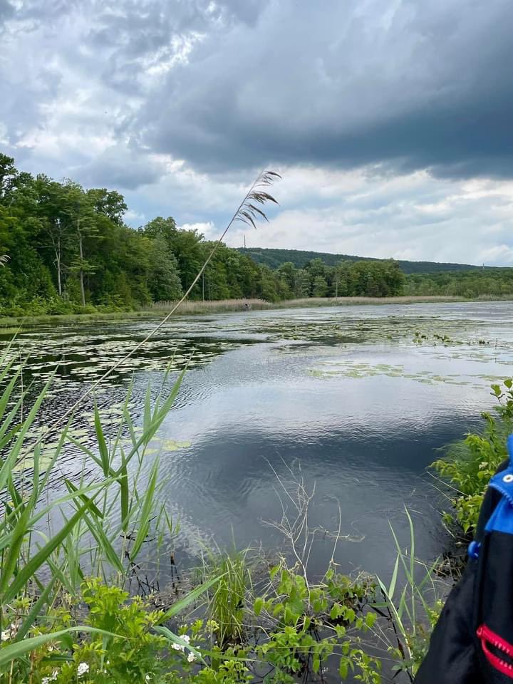 Hackensack Middle School tweet media