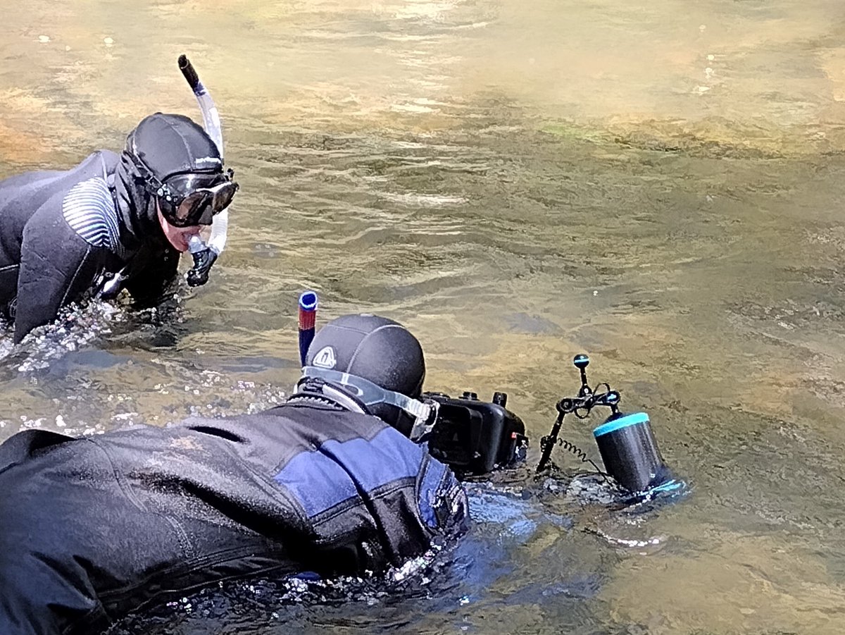 USFWS NCTC tweet media