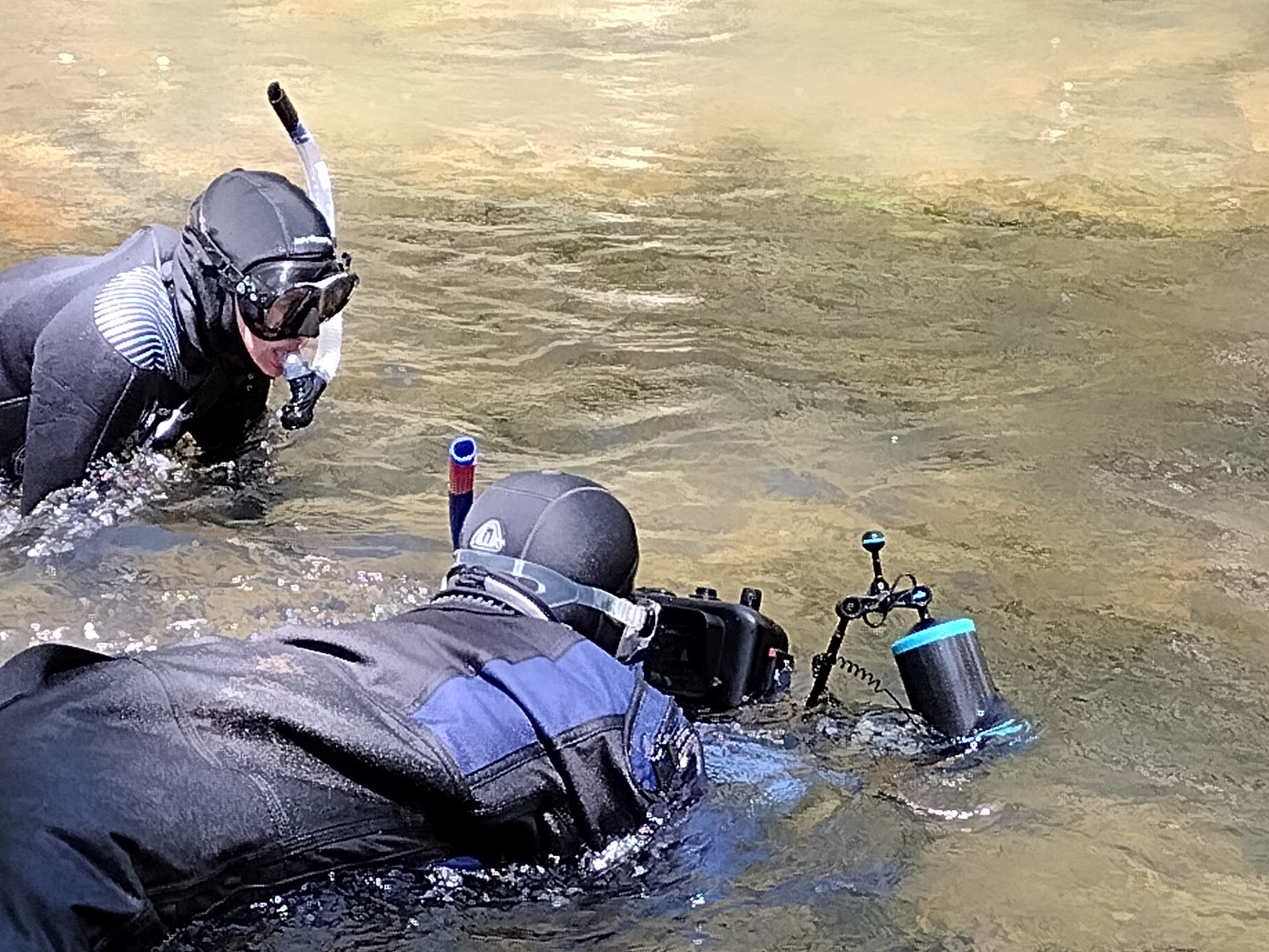USFWS NCTC on Twitter: "Behind the scenes in a cold mountain stream in