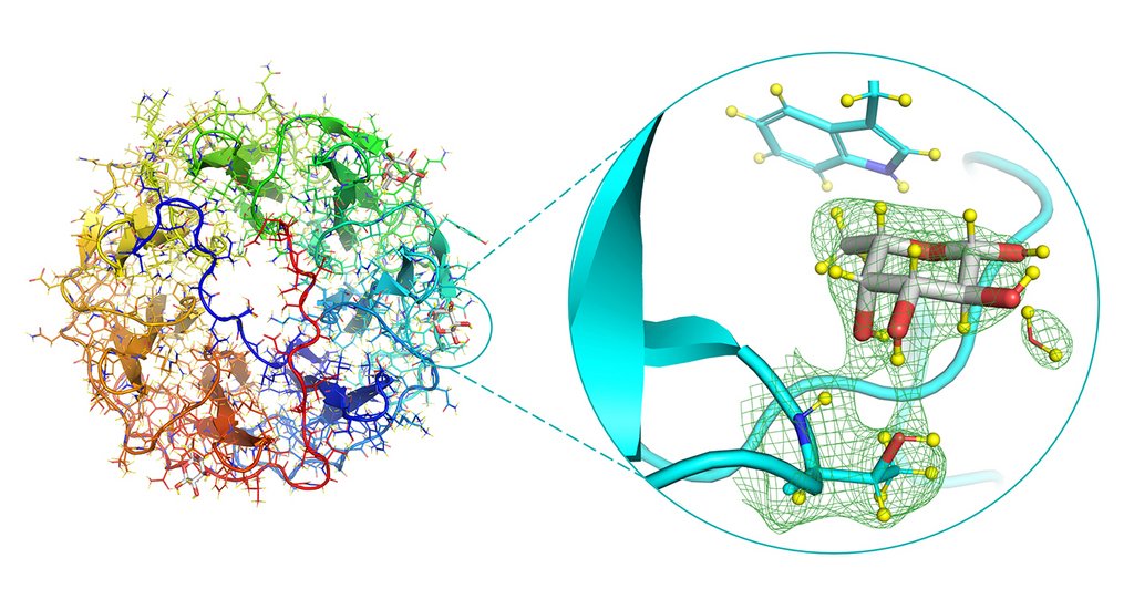 ILLGrenoble's tweet photo. 👆🏽 This successful study of #bacterial #lectin interaction with #fucose🔺 was one of our 2021 scientific highlights! Read about it: https://t.co/MS062S7G17 

#fucotime https://t.co/oG2QLBs61E