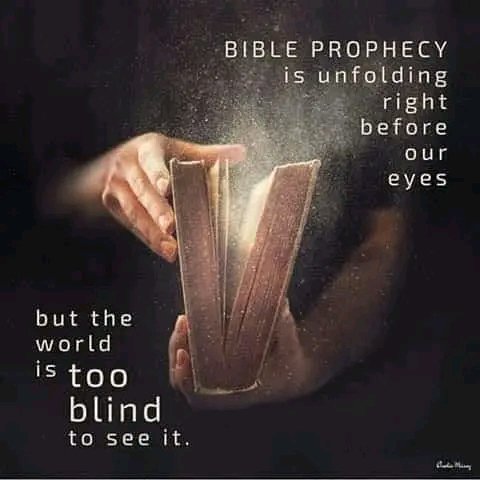 msrlw's tweet image. I think of all the times I've prepped/prepared for the "end times". And The Hellbound found a way to make it pointless. Idc anymore! I don't intend to survive it! Thx to the MANY who have hurt me! I wish y'all the best! I def don't wanna be here! #OptingOut #TargetedIndividuals