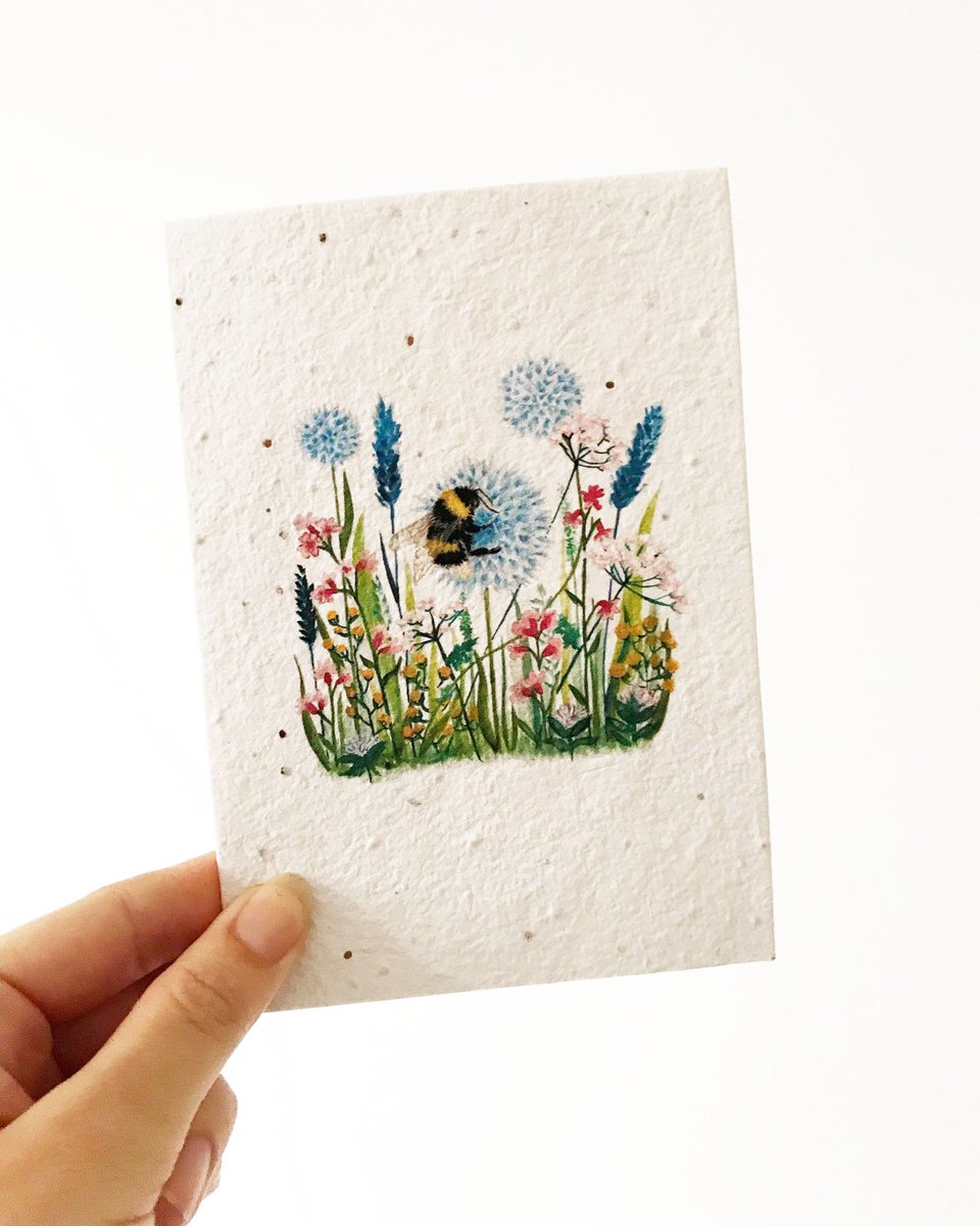 yasminjonescard's tweet photo. These plantable seed cards are so popular and great for any occasion. Save and plant to grow wild flowers. Take a look for more designs https://t.co/NSTD0ovirN #womaninbizhour #HandmadeHour #WildlifeWednesday #seedcards #fathersdaygift https://t.co/dDDBOGW3Yb