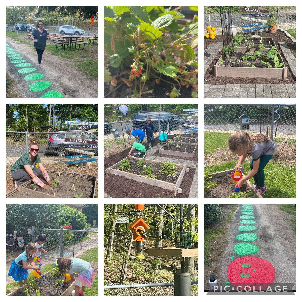 A big thank you to our Nut Swamp Nest Beautification Committee for the Caterpillar Diner, Strawberries, New Paint Job, Oriole Feeder &amp; much, much more. It has added to our outdoor learning fun.We thank you from the bottom of our ❤️.  <a href="/NutSwampSchool/">NutSwamp School PTA</a> @NutSwampTigers