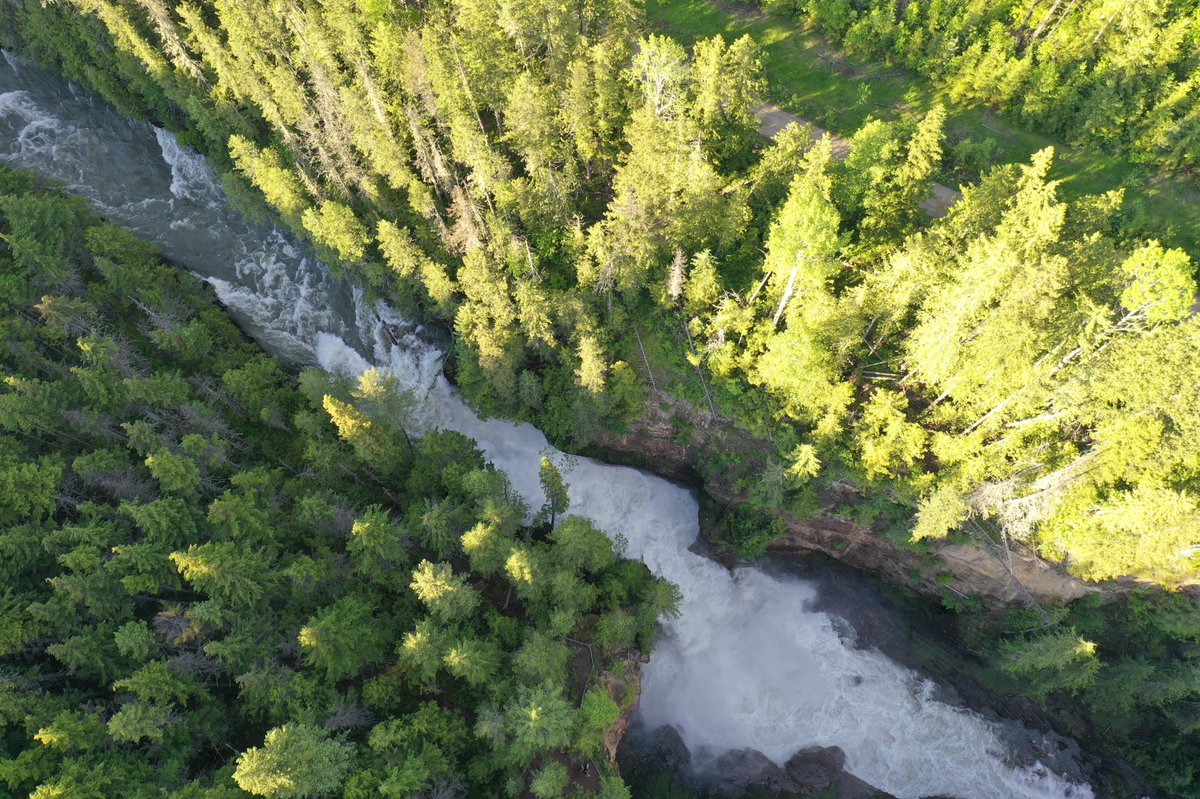 Petr Klápště tweet media