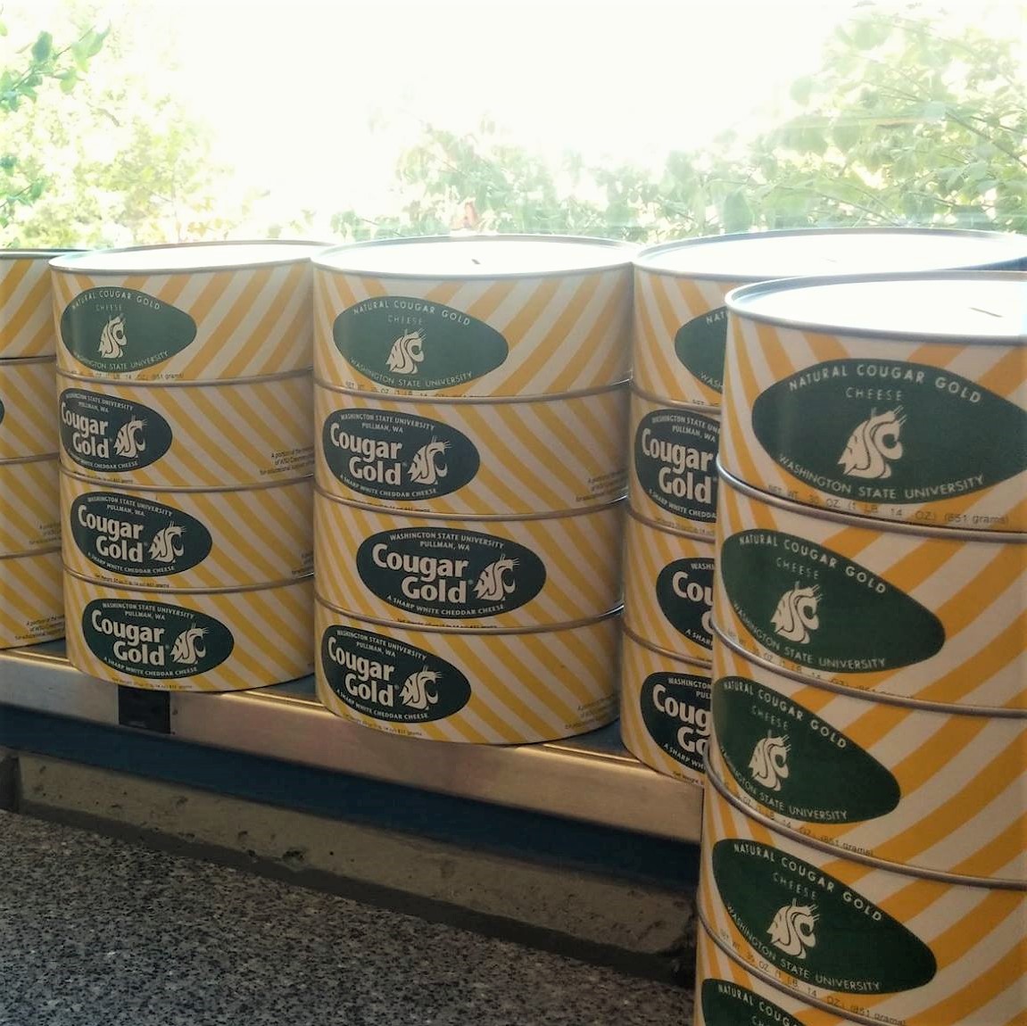 WA Cheesemakers Fest tweet media