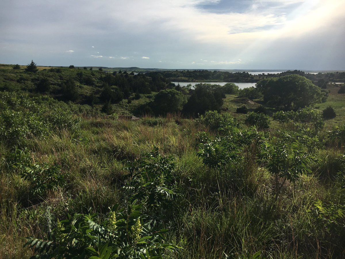 robinlorenson's tweet photo. Traded chasing yesterday for a 2.5+ mile hike on the #rocktowntrail at #wilsonlake https://t.co/MYab4RB86R