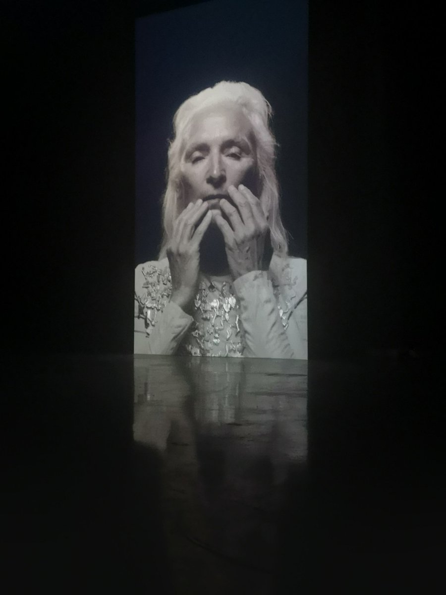 Day 2 <a href="/RuaRed/">Rua Red</a> in The Tower and if you don't come and experience this immersive exhibition your missing out! Not just because I'm there climbing ladders. #jessjonesisagenius